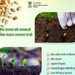 बीज उपचार (seed treatment) क्या है ? इसके क्या है फायदे,